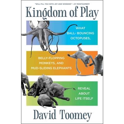 Kingdom of Play Kingdom of Play