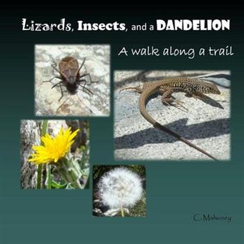 Lizards, Insects, and a Dandelion