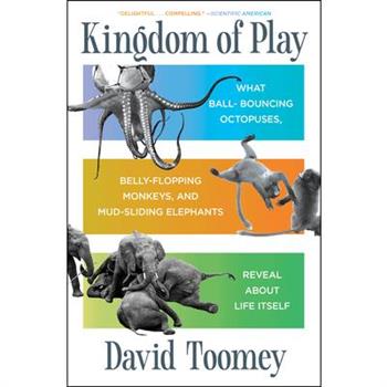 Kingdom of Play