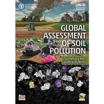 Global Assessment of Soil Pollution