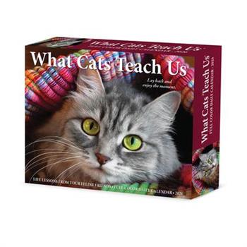 What Cats Teach Us 2026 5.4 X 6.2 Box Calendar