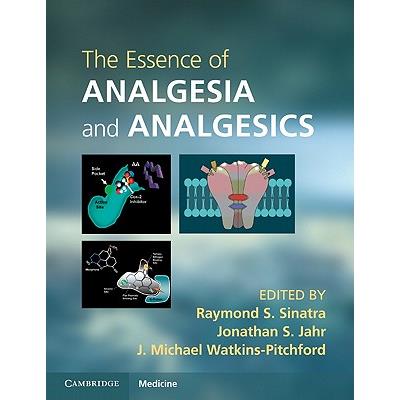 The Essence of Analgesia and Analgesics