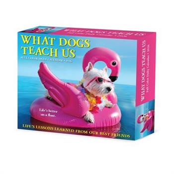 What Dogs Teach Us 2026 5.4 X 6.2 Box Calendar
