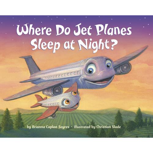 Where do jet planes sleep at night? /