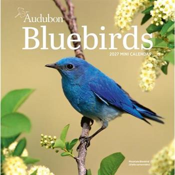 Audubon Bluebirds Mini Wall Calendar 2027