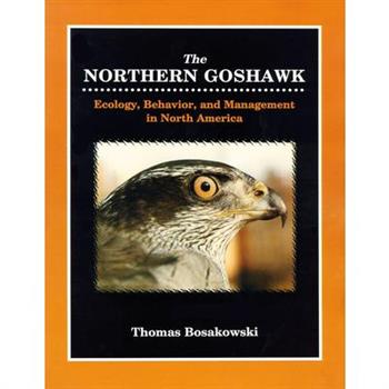 Northern Goshawk