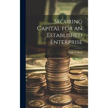 Securing Capital for an Established Enterprise