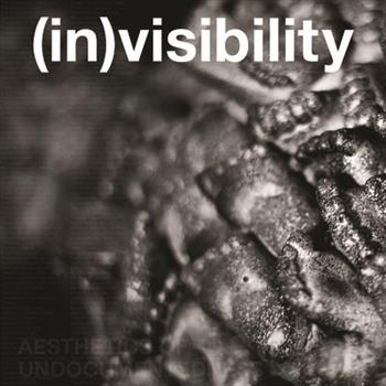 (In)Visibility