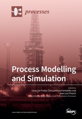 Process Modelling and Simulation