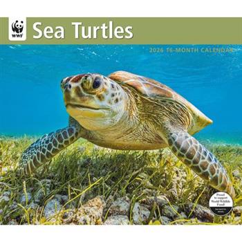 WWF Sea Turtles