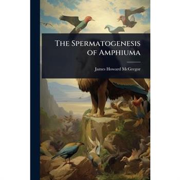 The Spermatogenesis of Amphiuma