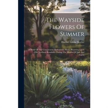 The Wayside Flowers Of Summer