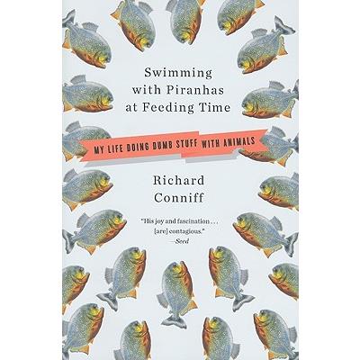 Swimming With Piranhas at Feeding Time