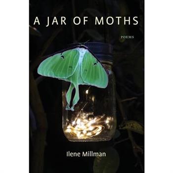 A Jar of Moths