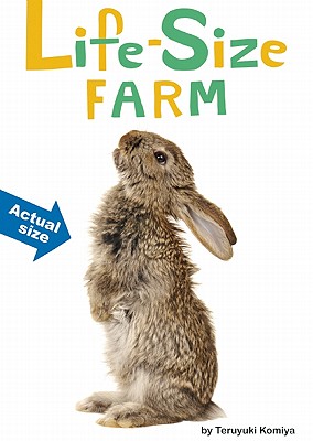 Life-Size Farm