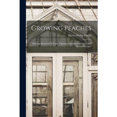 Growing Peaches