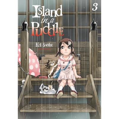 Island in a Puddle 3