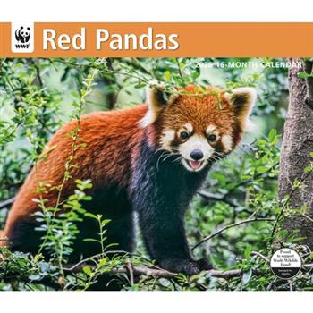 WWF Red Pandas