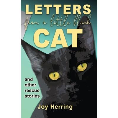 Letters from a Little Black Cat