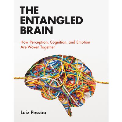 The Entangled Brain