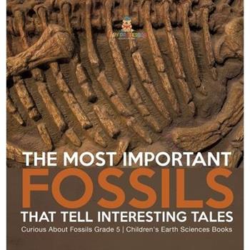 The Most Important Fossils That Tell Interesting Tales Curious About Fossils Grade 5 Children's Earth Sciences Books