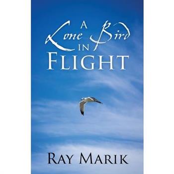 A Lone Bird in Flight