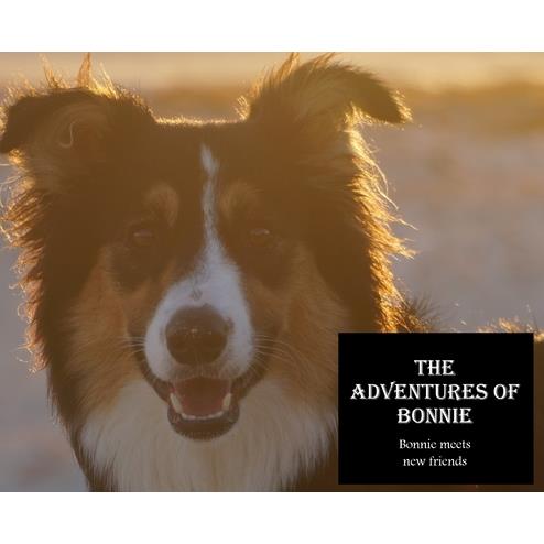 The Adventures of Bonnie