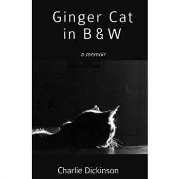 Ginger Cat in B & W
