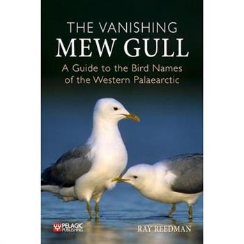 The Vanishing Mew Gull