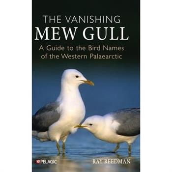 The Vanishing Mew Gull