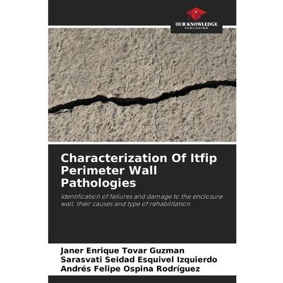 Characterization Of Itfip Perimeter Wall Pathologies