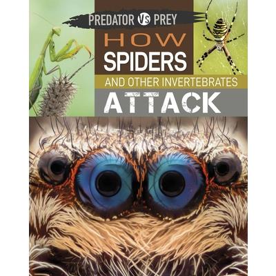 Predator Vs Prey: How Spiders and Other Invertebrates Attack!