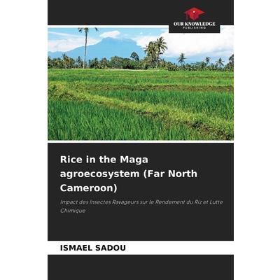 Rice in the Maga agroecosystem (Far North Cameroon)