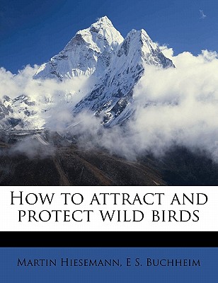 How to Attract and Protect Wild Birds