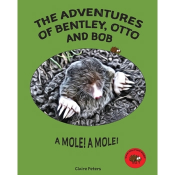 The Adventures of Bentley, Otto and Bob