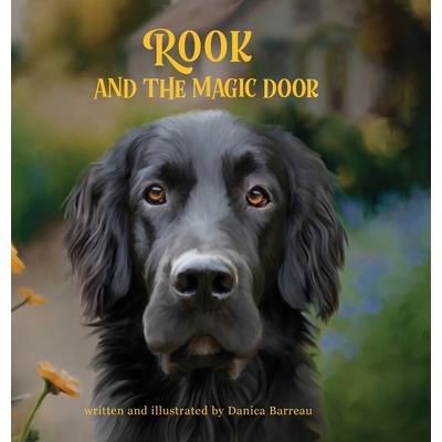 Rook and the Magic Door