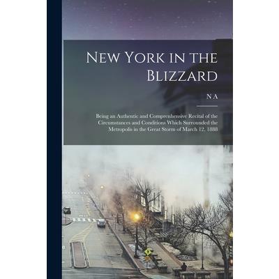 New York in the Blizzard