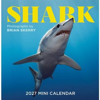 Shark Mini Wall Calendar 2027