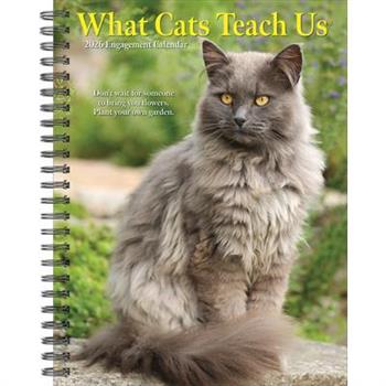 What Cats Teach Us 2026 6.5 X 8.5 Engagement Calendar