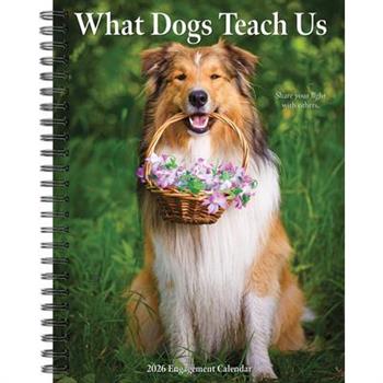 What Dogs Teach Us 2026 6.5 X 8.5 Engagement Calendar