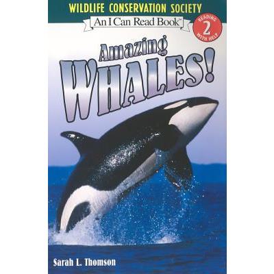 Amazing Whales!