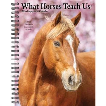What Horses Teach Us 2026 6.5 X 8.5 Engagement Calendar