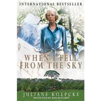 When I Fell from the Sky