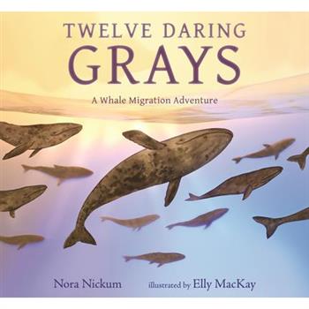 Twelve Daring Grays: A Whale Migration Adventure