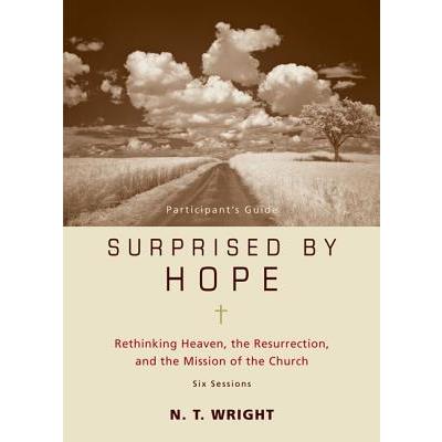 Surprised by Hope