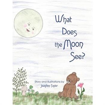 What Does the Moon See?