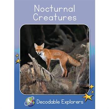 Nocturnal Creatures