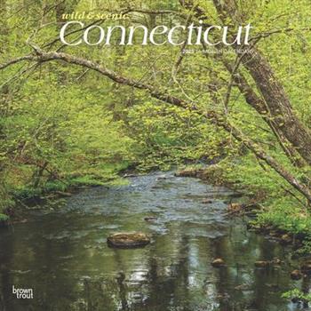 Connecticut Wild & Scenic 2025 12 X 24 Inch Monthly Square Wall Calendar Plastic-Free