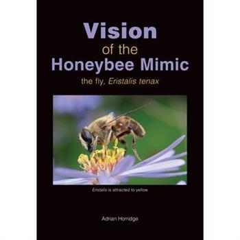 Vision of the Honeybee Mimic