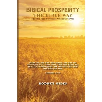 Biblical Prosperity The Bible Way
